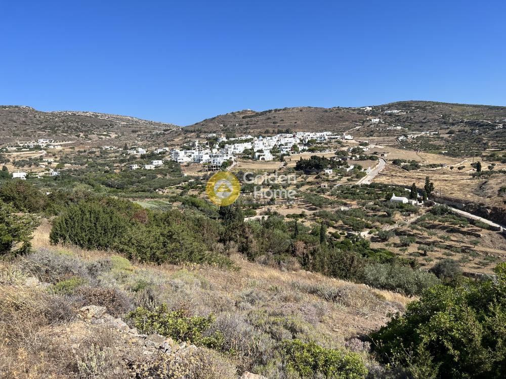 Αγροτεμάχια 7.185 τ.μ. προς πώληση, Κώστος