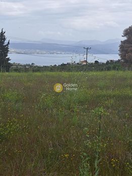 Αγροτεμάχια 9.000τ.μ. για πώληση-Σχηματάρι » Κέντρο