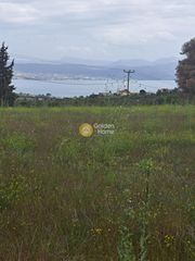 Αγροτεμάχια 9.000 τ.μ. για πώληση