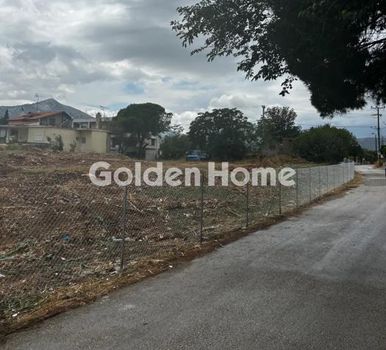 Οικόπεδο 2.900τ.μ. για πώληση-Μαραθώνας » Άγιος παντελεήμονας