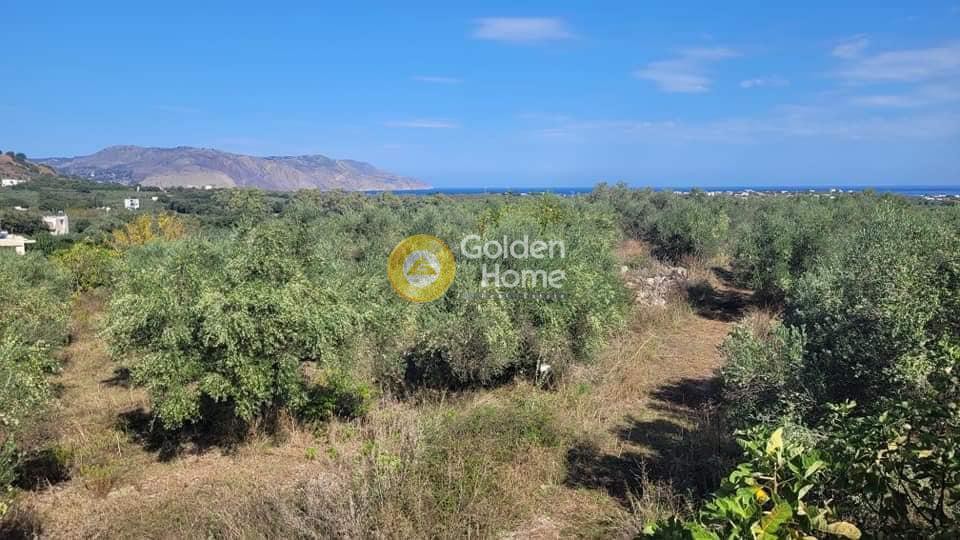 Οικόπεδο 5.031 τ.μ. προς πώληση, Ασπροσυκιά