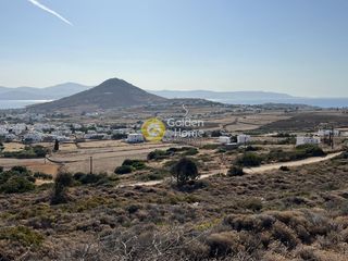Αγροτεμάχια 4.036 τ.μ. για πώληση