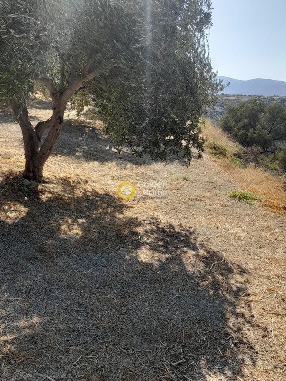 Οικόπεδο 9.777 τ.μ. προς πώληση, Τρεις Καμάρες