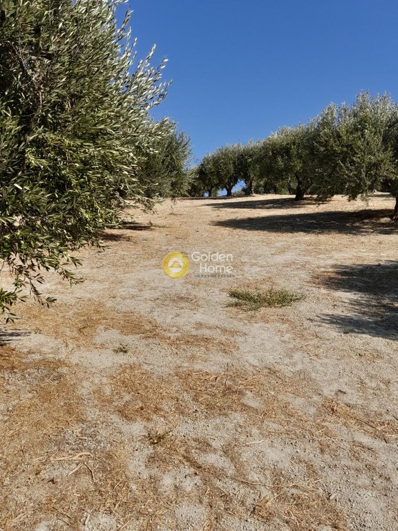 Οικόπεδο 9.777 τ.μ. προς πώληση, Τρεις Καμάρες