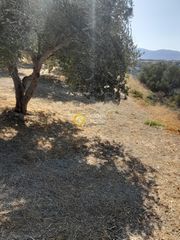 Οικόπεδο 9.777 τ.μ. για πώληση