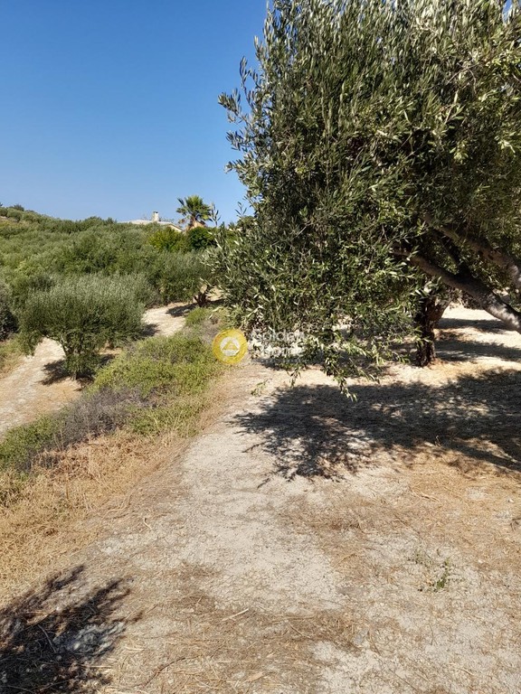 Οικόπεδο 9.777 τ.μ. προς πώληση, Τρεις Καμάρες