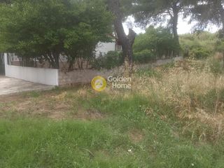 Αγροτεμάχια 238 τ.μ. προς πώληση