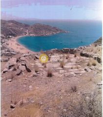 Αγροτεμάχια 8.345 τ.μ. για πώληση