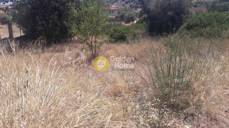 Οικόπεδο 786 τ.μ. για πώληση