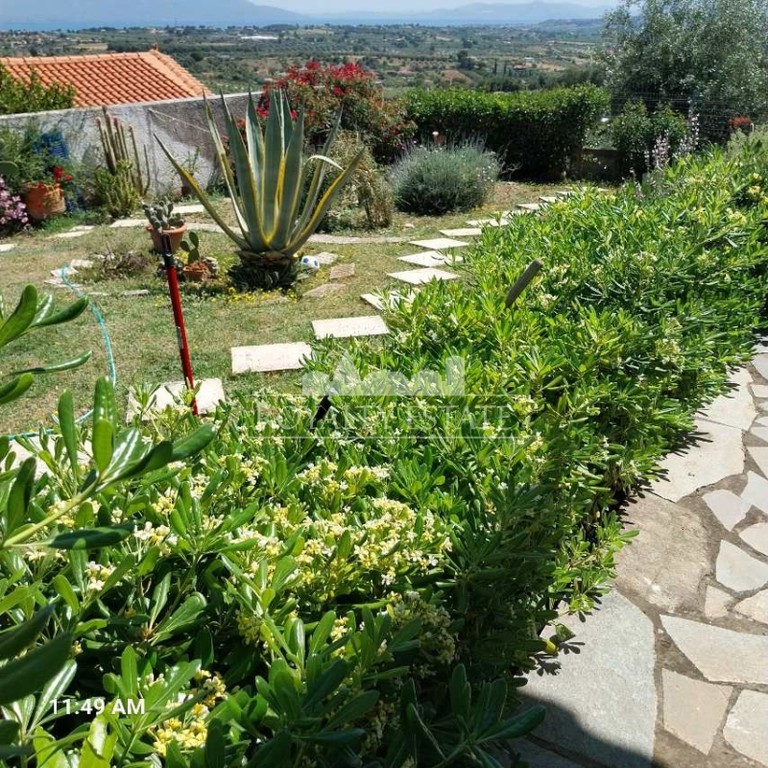 Μονοκατοικία 220 τ.μ. πρός πώληση, Αττική - Υπόλοιπο, Ωρωπός