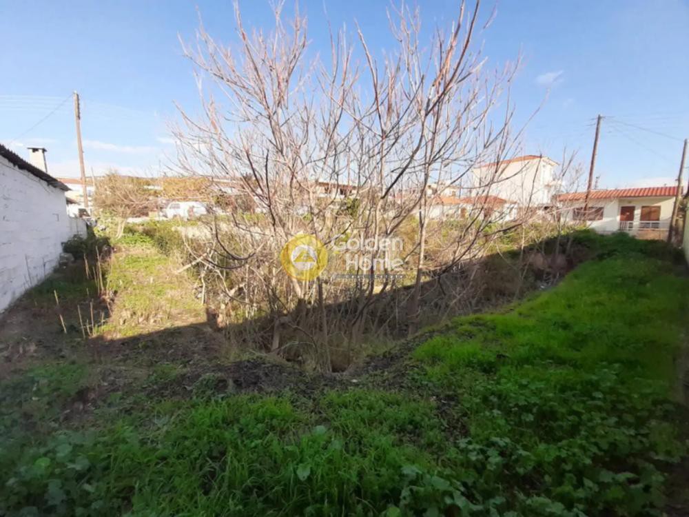 Οικόπεδο 632 τ.μ. πρός πώληση, Μαγνησία, Νέα Αγχίαλος