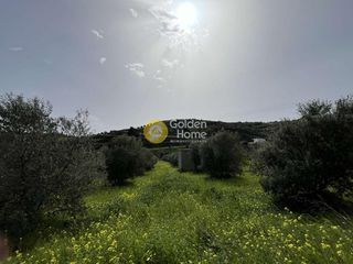 Οικόπεδο 3.250 τ.μ. για πώληση