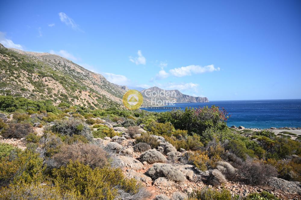 Οικόπεδο 4.957 τ.μ. προς πώληση, Άνυδροι