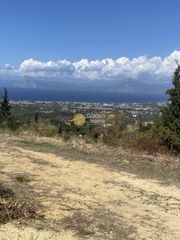 Οικόπεδο 1.667 τ.μ. για πώληση, Αχαΐα, Μεσσατίδα-thumb-2
