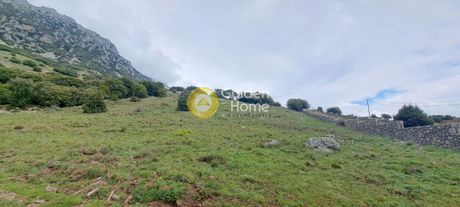 Οικόπεδο 2.000τ.μ. για πώληση-Αράχοβα » Αράχοβα