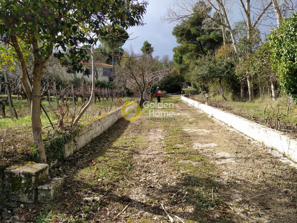 Μονοκατοικία 160 τ.μ. προς πώληση, Κέντρο Βαρνάβα