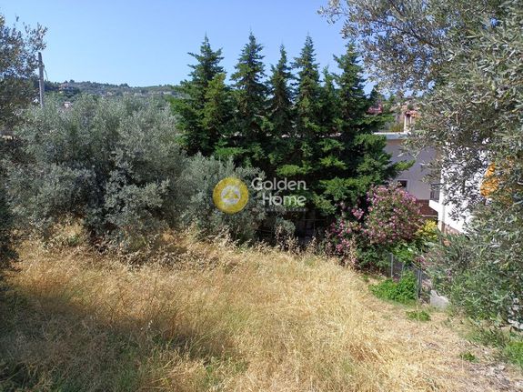 Land plot 300 sqm for sale, Rest Of Attica, Oropos