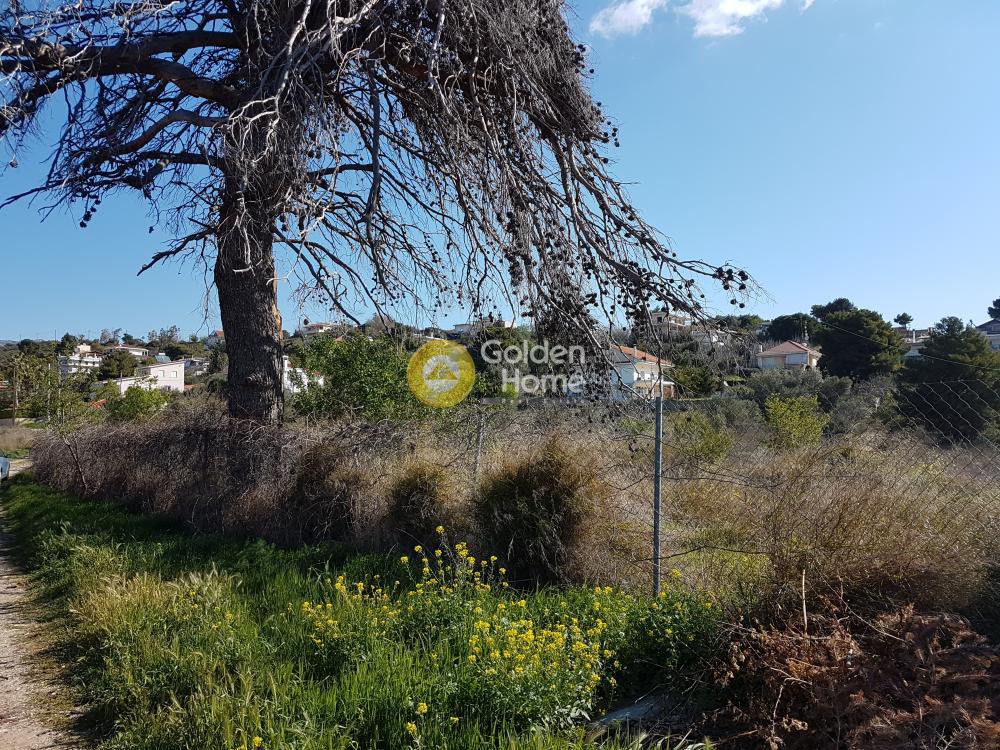 Οικόπεδο 4.000 τ.μ. προς ενοικίαση, Αθήνα - Ανατολικά Προάστια, Παλλήνη