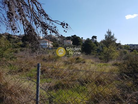 Οικόπεδο 4.000τ.μ. για ενοικίαση-Παλλήνη » Κέντρο