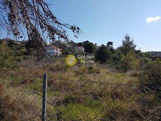 Οικόπεδο 4.000 τ.μ. για ενοικίαση