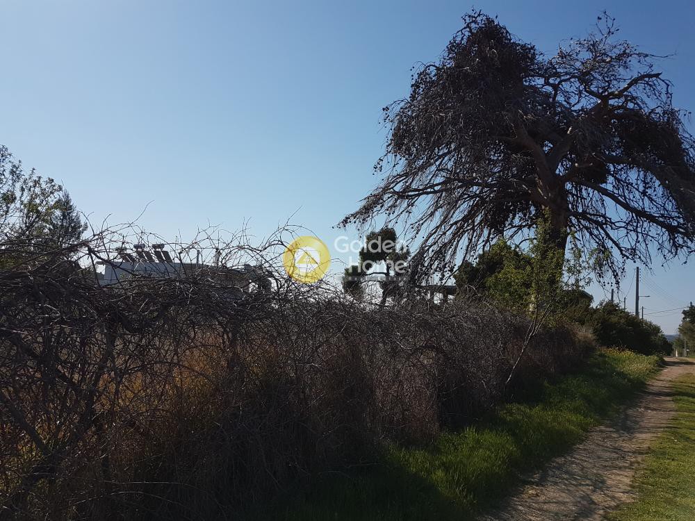 Οικόπεδο 4.000 τ.μ. προς ενοικίαση, Αθήνα - Ανατολικά Προάστια, Παλλήνη