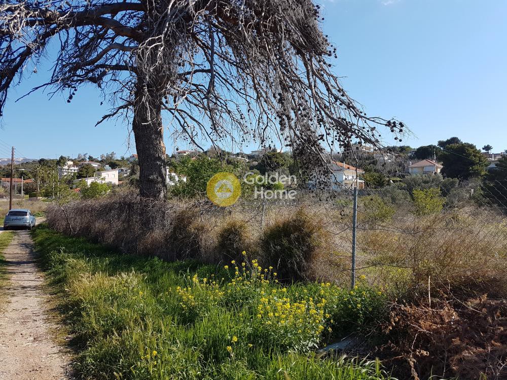 Οικόπεδο 4.000 τ.μ. προς ενοικίαση, Αθήνα - Ανατολικά Προάστια, Παλλήνη