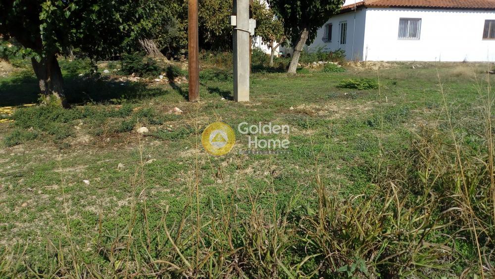Οικόπεδο 598 τ.μ. προς πώληση, Άγιος Νικόλαος Ληλαντίου