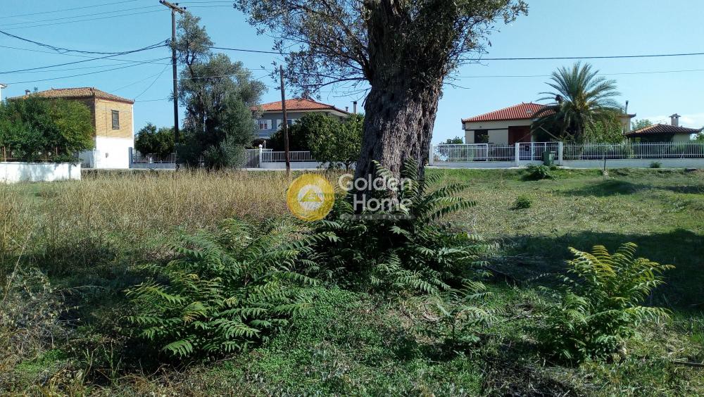 Οικόπεδο 598 τ.μ. προς πώληση, Άγιος Νικόλαος Ληλαντίου