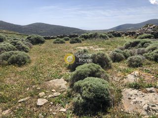 Οικόπεδο 2.000 τ.μ. προς πώληση, Λεύκες Πάρου-thumb-13