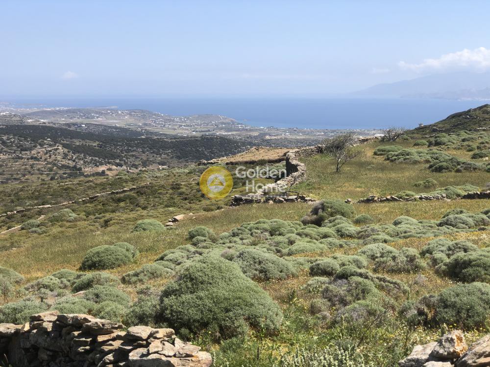 Οικόπεδο 2.000 τ.μ. προς πώληση, Λεύκες Πάρου