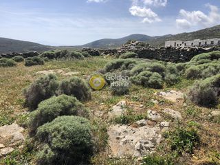 Οικόπεδο 2.000 τ.μ. προς πώληση, Λεύκες Πάρου-thumb-19