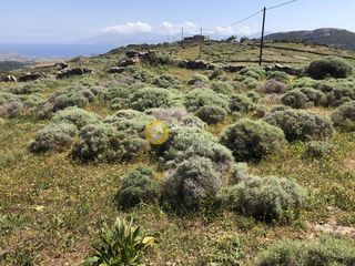 Οικόπεδο 2.000 τ.μ. προς πώληση, Λεύκες Πάρου-thumb-11
