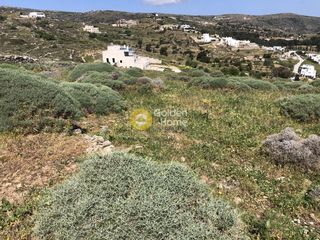Οικόπεδο 2.000 τ.μ. προς πώληση, Λεύκες Πάρου-thumb-9