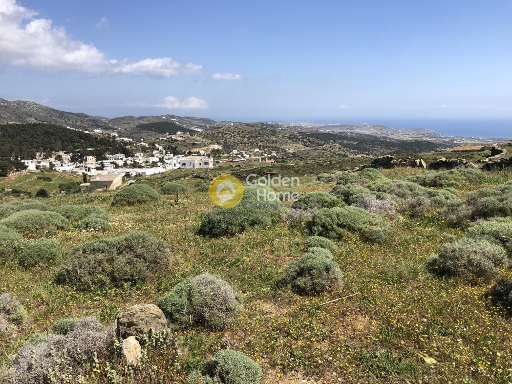 Οικόπεδο 2.000 τ.μ. προς πώληση, Λεύκες Πάρου