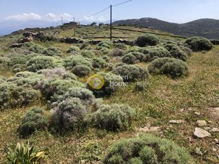 Οικόπεδο 2.000 τ.μ. προς πώληση, Λεύκες Πάρου-thumb-12