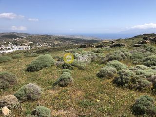 Οικόπεδο 2.000 τ.μ. προς πώληση, Λεύκες Πάρου-thumb-6