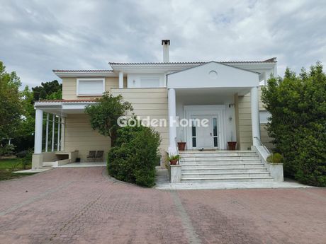 Μονοκατοικία 720τ.μ. για πώληση-Θερμαϊκός » Λιβάδακιο