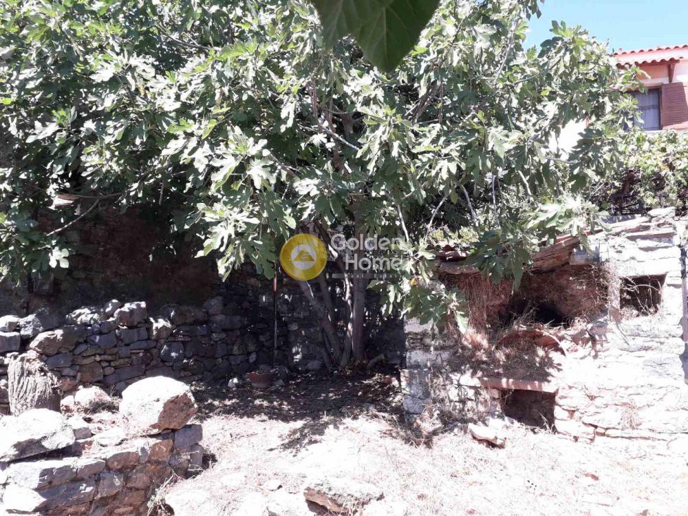 Μονοκατοικία 200 τ.μ. προς πώληση, Γάια