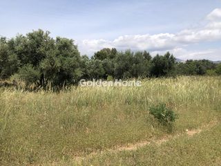 Οικόπεδο 4.100 τ.μ. προς ενοικίαση, Κέντρο Παλλήνης-thumb-1