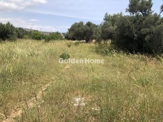 Οικόπεδο 4.100 τ.μ. για ενοικίαση