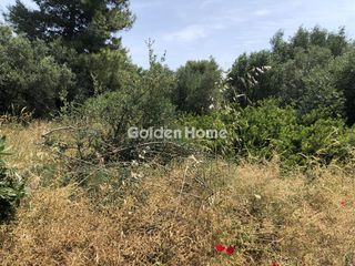 Οικόπεδο 4.100 τ.μ. προς ενοικίαση, Κέντρο Παλλήνης-thumb-2