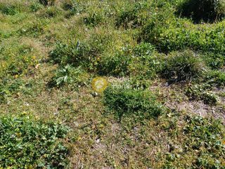 Land plot 504 sqm for sale