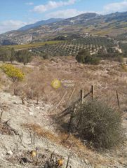 Αγροτεμάχια 2.340 τ.μ. για πώληση
