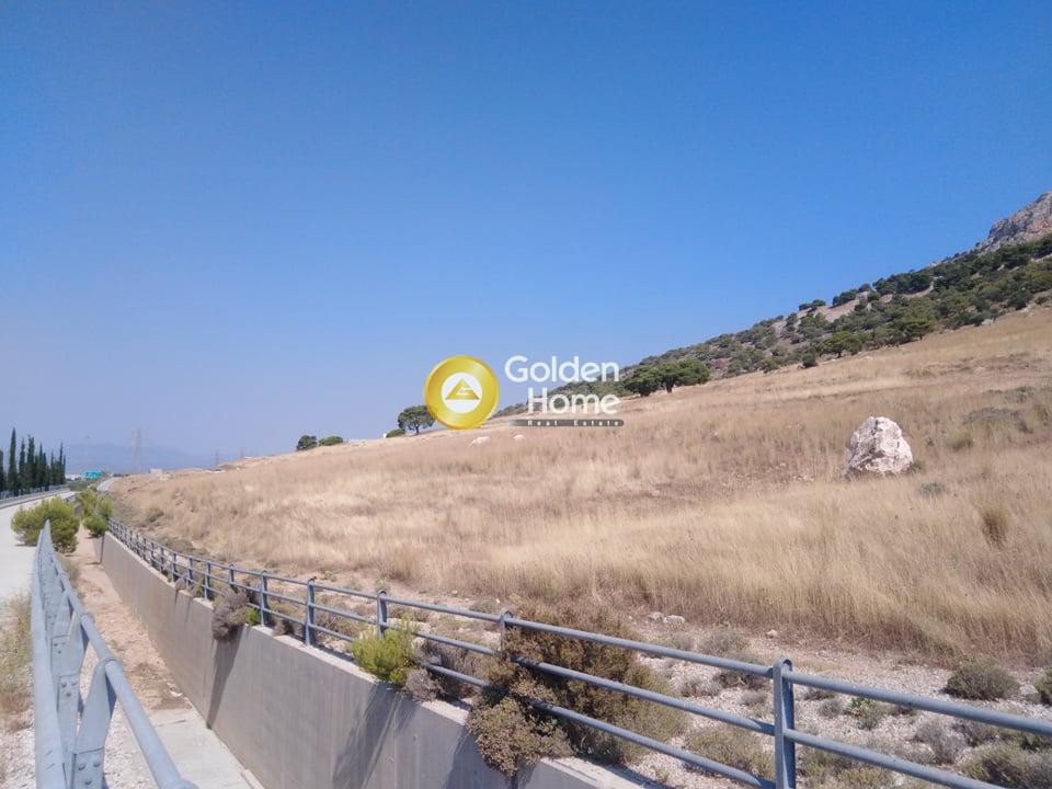 Οικόπεδο 20.000 τ.μ. προς ενοικίαση, Αττική - Υπόλοιπο, Ασπρόπυργος