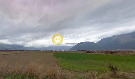 Αγροτεμάχια 1.000τ.μ. για πώληση-Φενεός » Πανόραμα