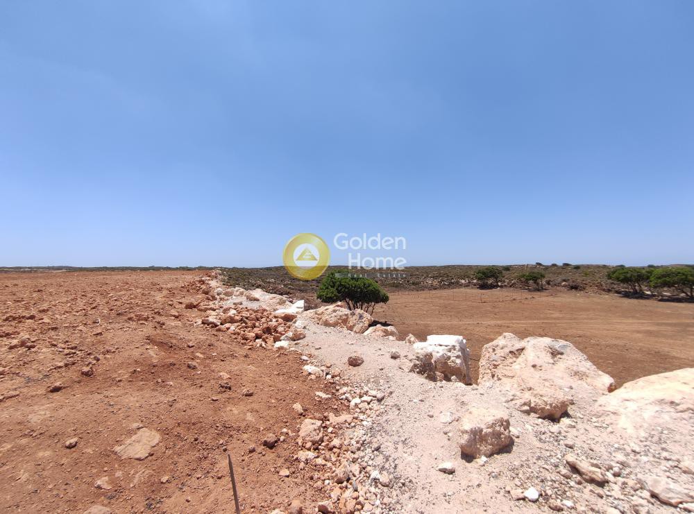 Αγροτεμάχια 20.000 τ.μ. προς πώληση, Μονή Χρυσοσκαλιτίσσης