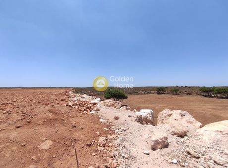 Αγροτεμάχια 20.000τ.μ. για πώληση-Ινναχώρι » Μονή χρυσοσκαλιτίσσης