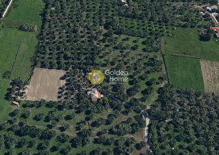 Αγροτεμάχια 4.325 τ.μ. για πώληση