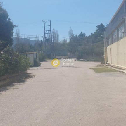 Business 2.301 sqm for sale, Rest Of Attica, Oropos