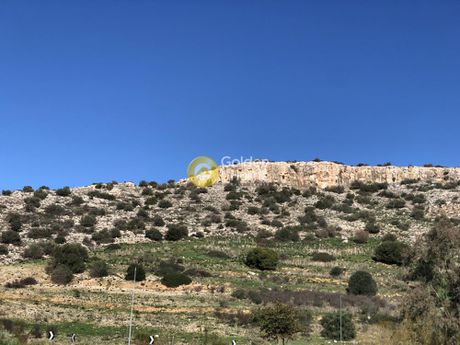Αγροτεμάχια 6.500 τ.μ. για πώληση